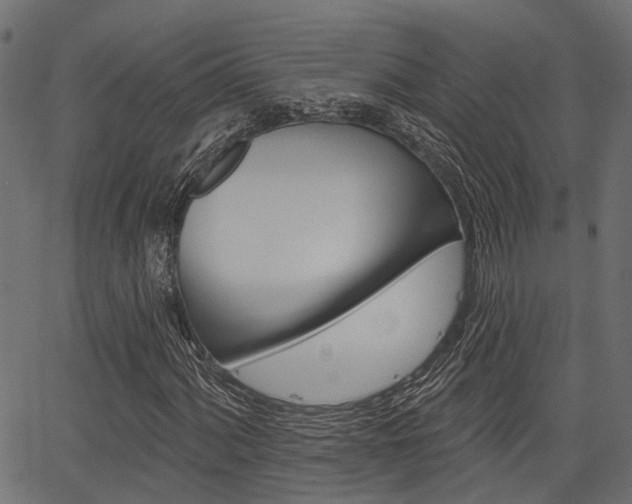 X0000067351060200603310854
