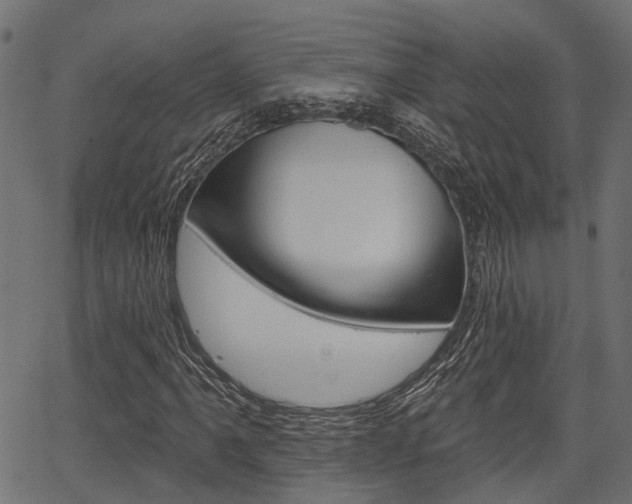 X0000067351061200603310854