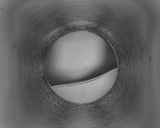 X0000067351062200603310854