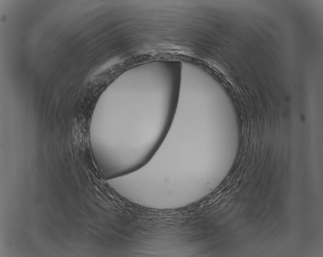 X0000067351063200603310854