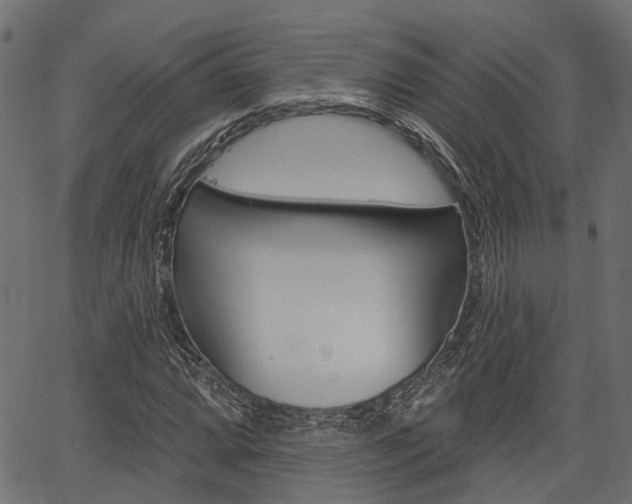X0000067351064200603310854
