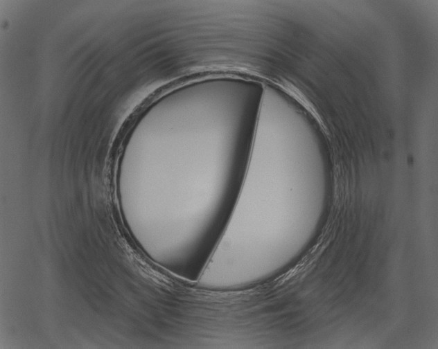 X0000067351068200603310854