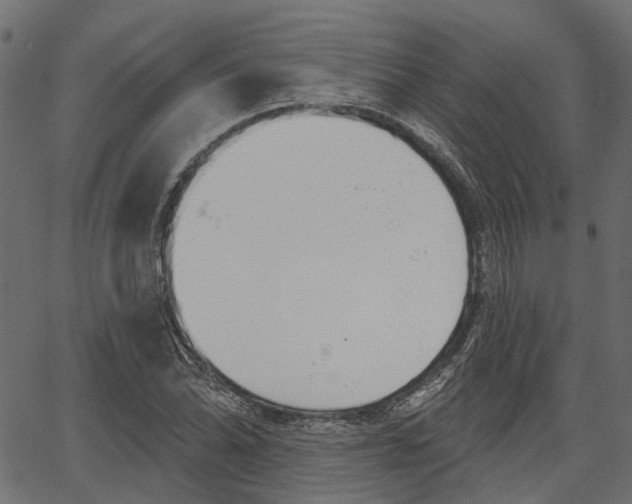 X0000067351070200603310854