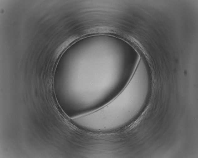 X0000067351081200603310854
