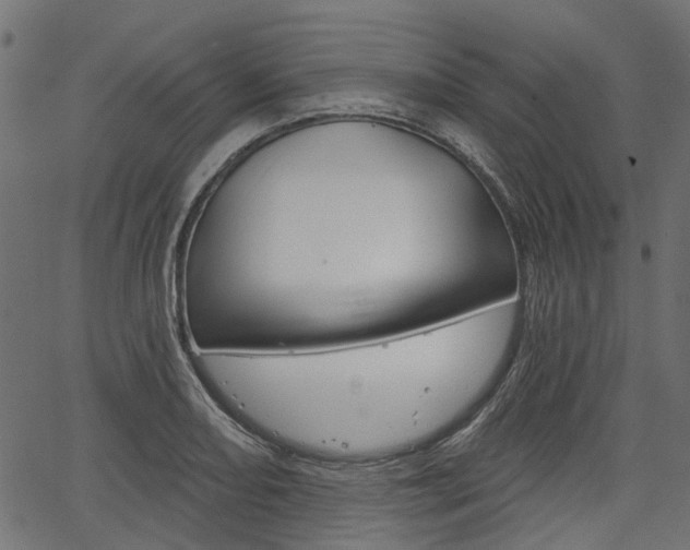 X0000067351082200603310854
