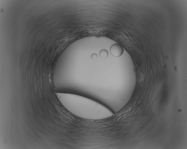 X0000067351106200603310853