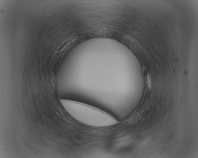 X0000067351107200603310853