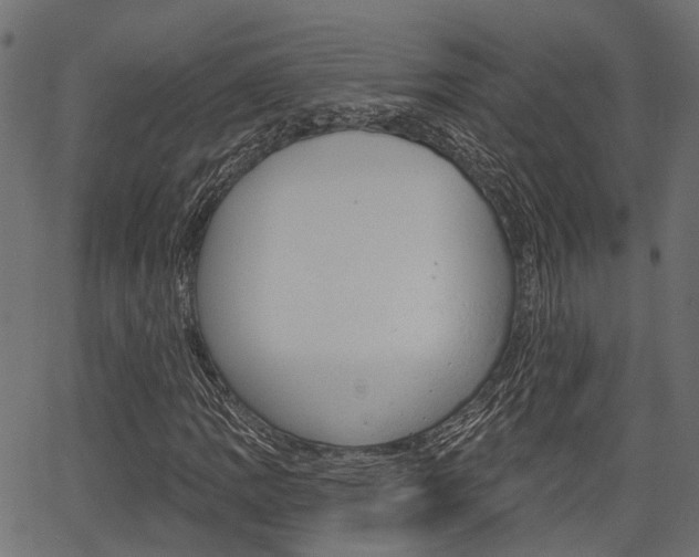 X0000067351109200603310853