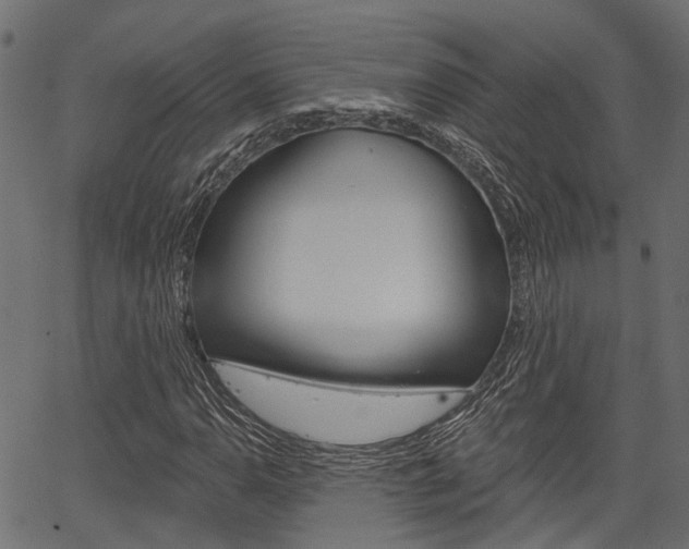 X0000067351110200603310853
