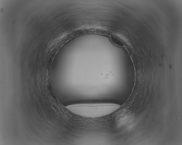 X0000067351111200603310853