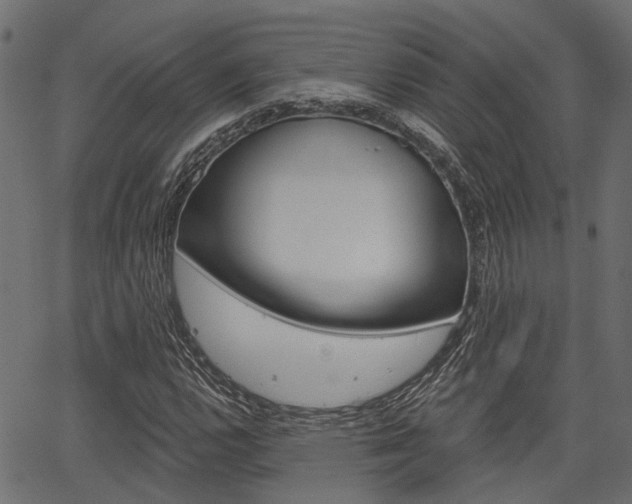 X0000067351112200603310853