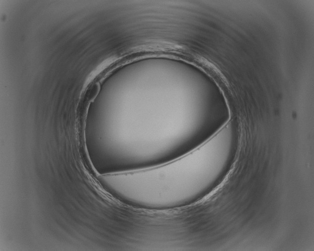 X0000067351114200603310853