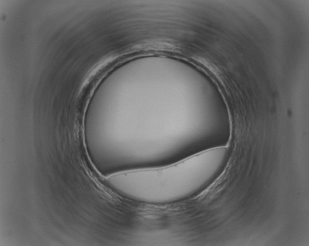 X0000067351115200603310853