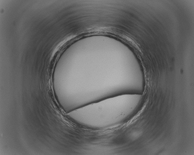 X0000067351117200603310853
