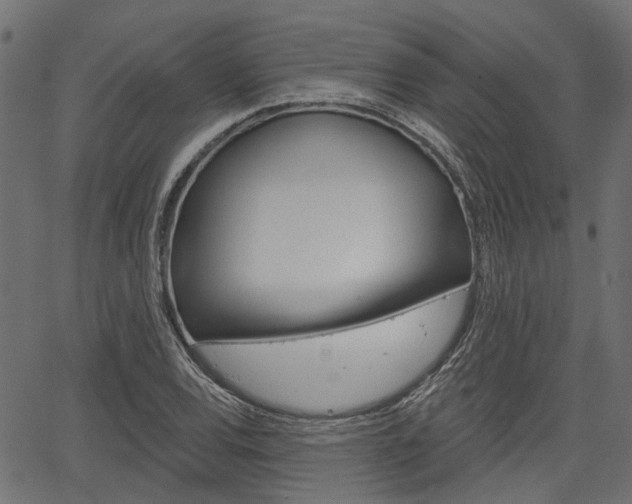 X0000067351120200603310853