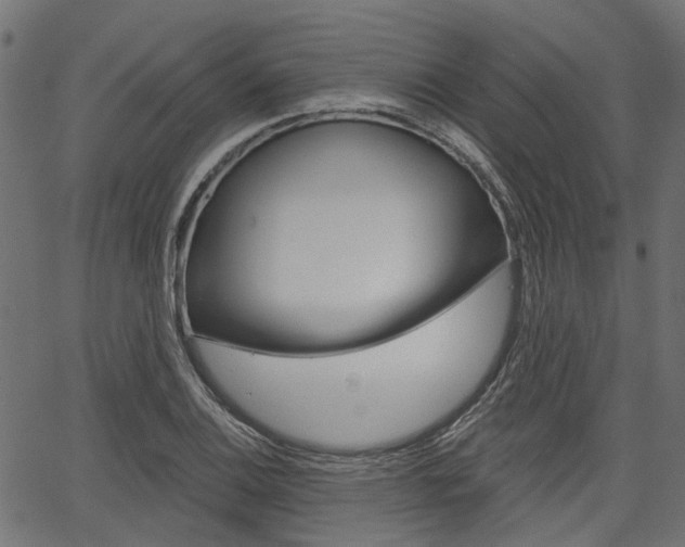 X0000067351124200603310853