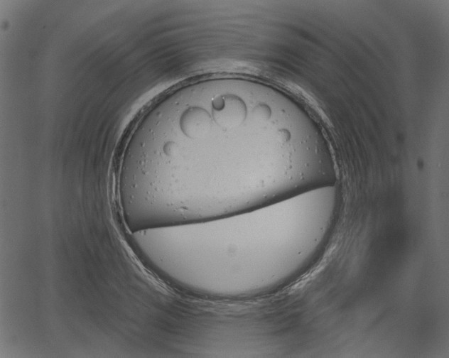 X0000067351125200603310853