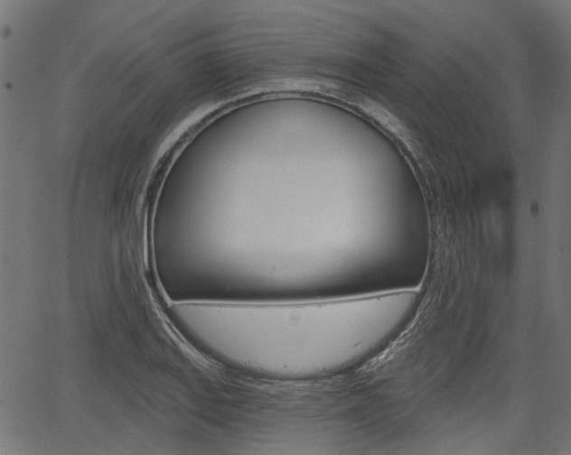 X0000067351127200603310853