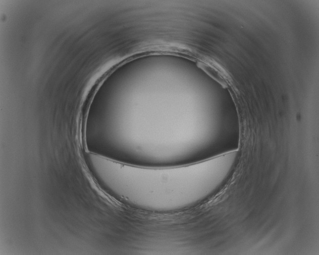 X0000067351128200603310853