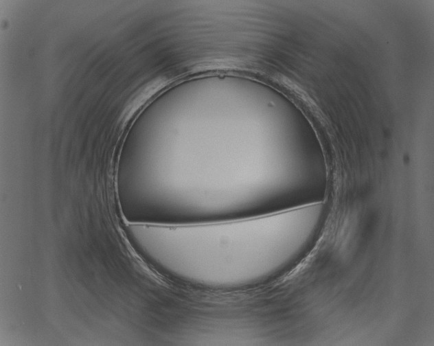 X0000067351129200603310853