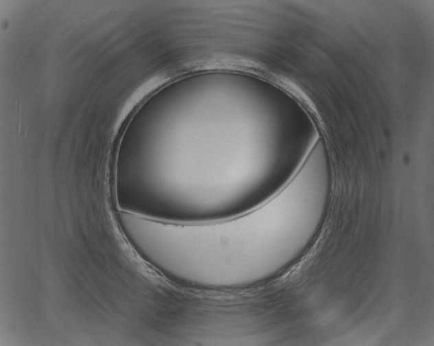 X0000067351138200603310853