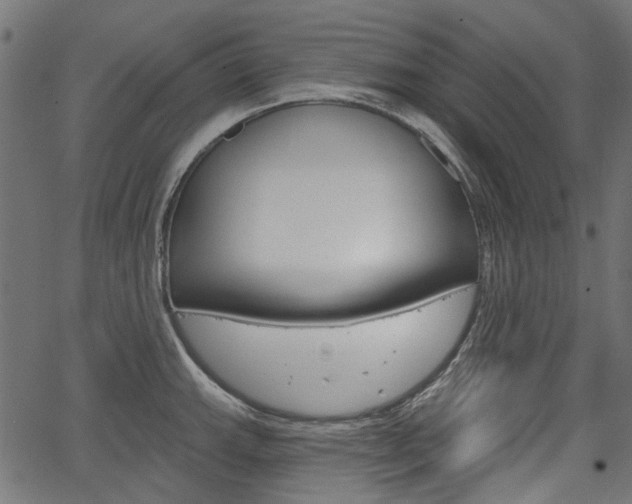 X0000067351143200603310853