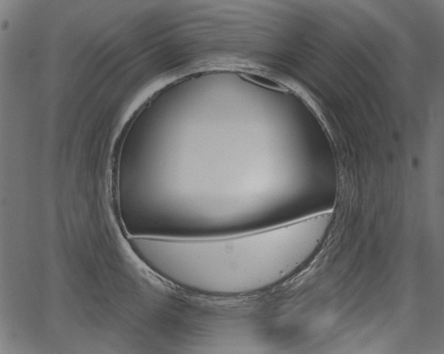 X0000067351147200603310853