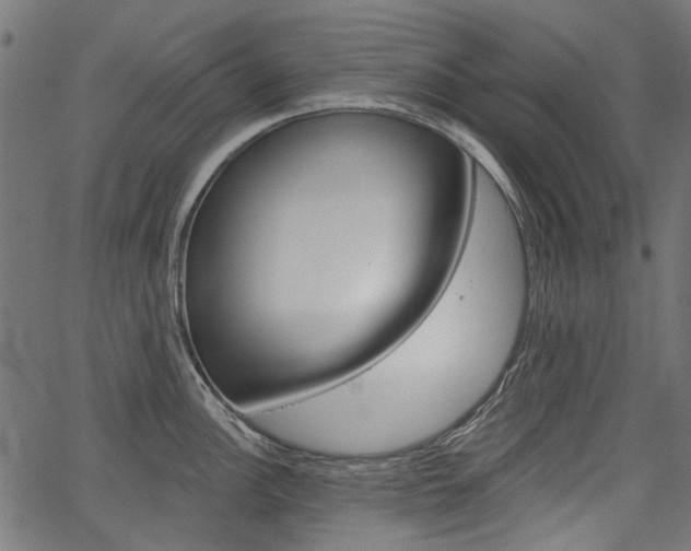X0000067351148200603310853