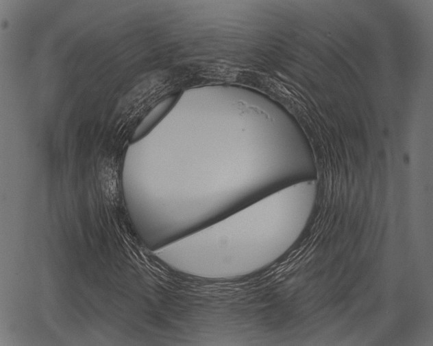 X0000067351154200603310853