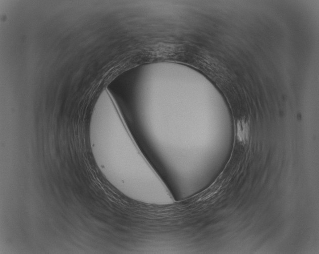 X0000067351155200603310853