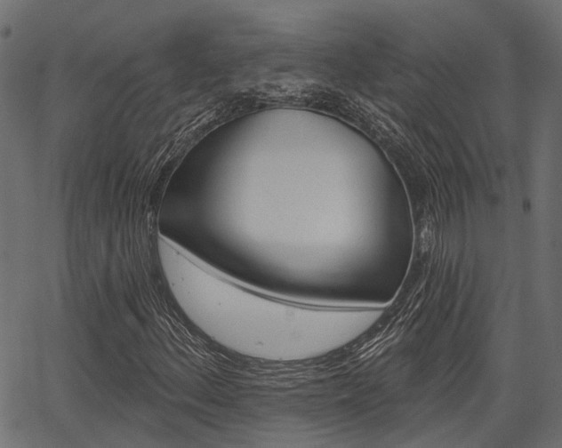 X0000067351156200603310853