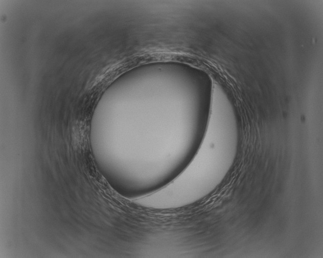 X0000067351157200603310853