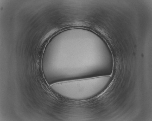 X0000067351163200603310852