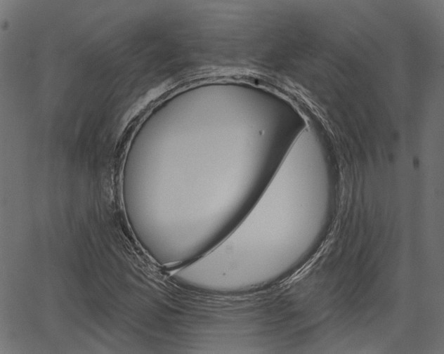 X0000067351165200603310852