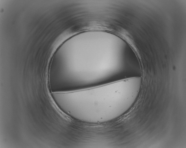 X0000067351195200603310852