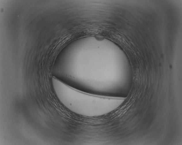 X0000067351201200603310851