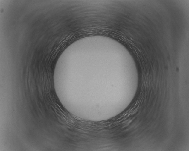 X0000067351202200603310851