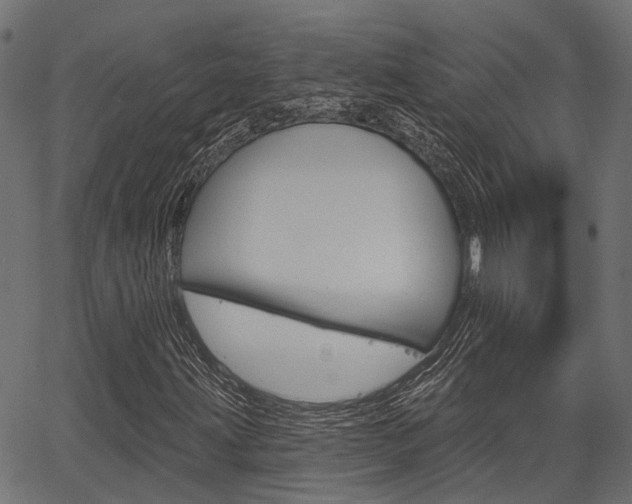 X0000067351203200603310851