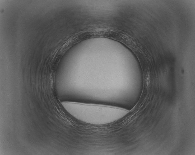 X0000067351204200603310851