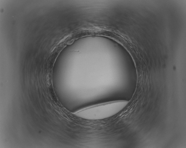 X0000067351205200603310851