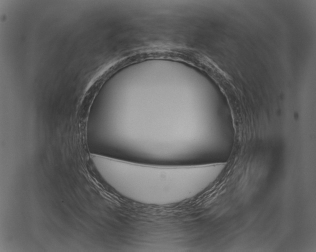 X0000067351208200603310851