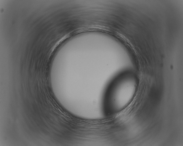 X0000067351210200603310851