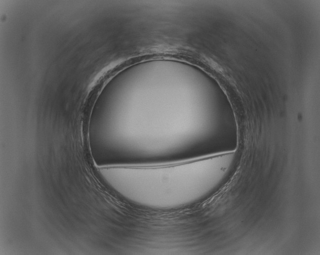 X0000067351214200603310851