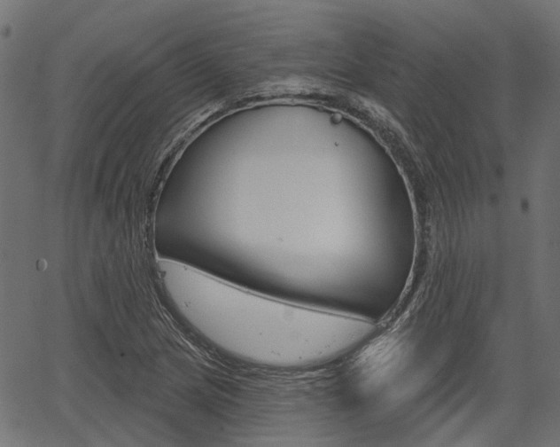 X0000067351217200603310851
