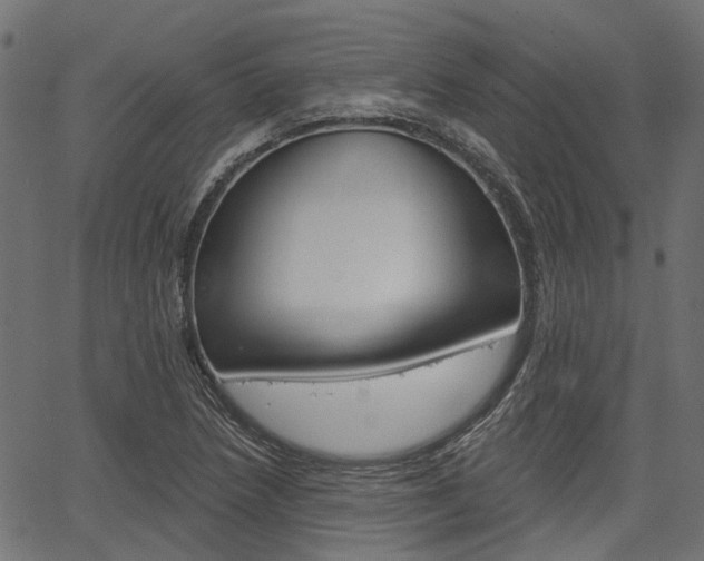 X0000067351218200603310851