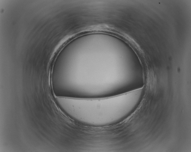 X0000067351224200603310851