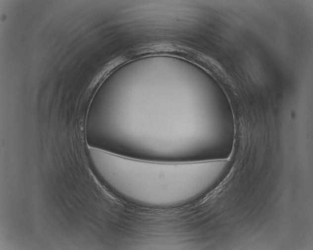 X0000067351225200603310851