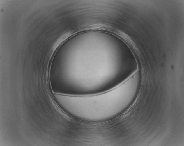 X0000067351234200603310852