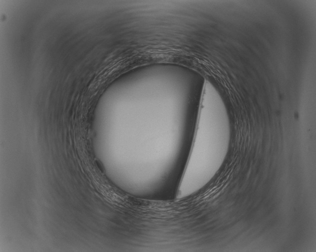 X0000067351249200603310851