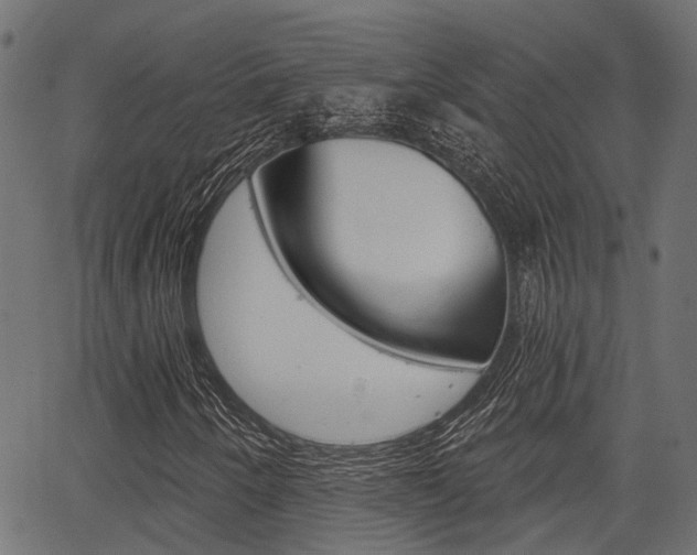 X0000067351250200603310851